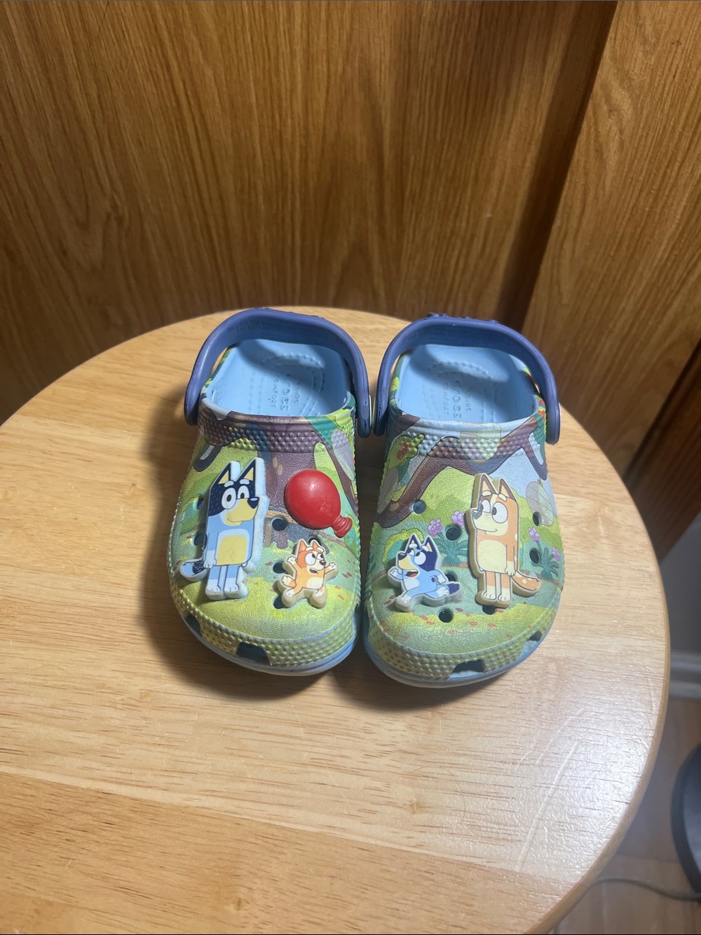 CROCS Kids Blue & Green Cartoon Clog Sandals with Red Accent